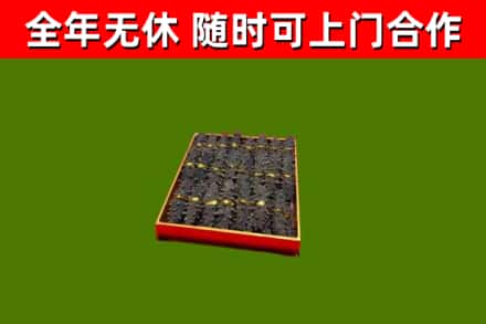金平回收海参